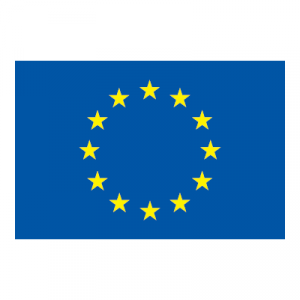 European Union flag